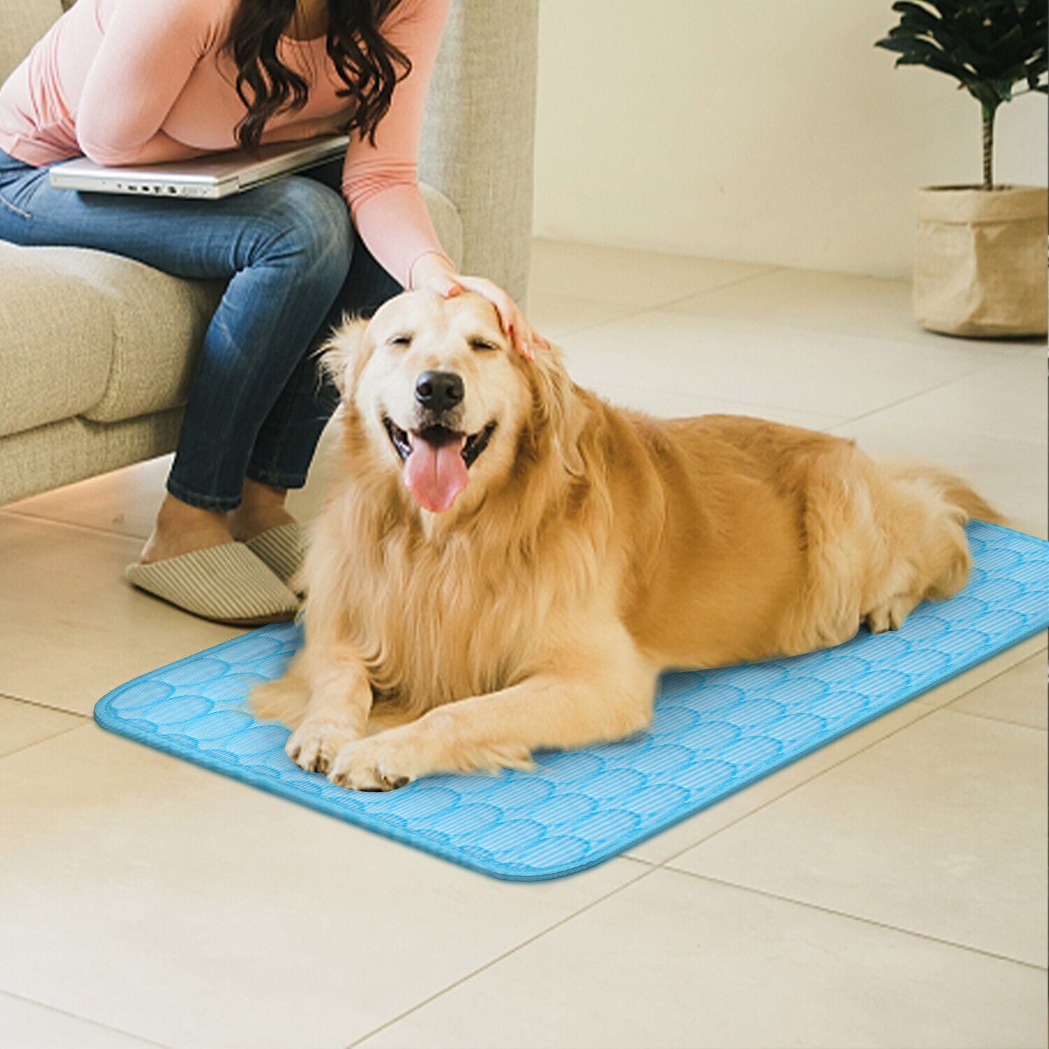 Tapis de refroidissement pour animaux de compagnie Coussin de refroidissement pour chien Chat Chiot Couverture pour lit de couchage d'été Lit de refroidissement pour chien Tapis de refroidissement pour animaux de compagnie